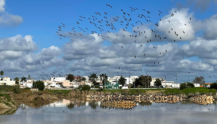 Alagoas Brancas: Lagoa beantragt Fristverlängerung