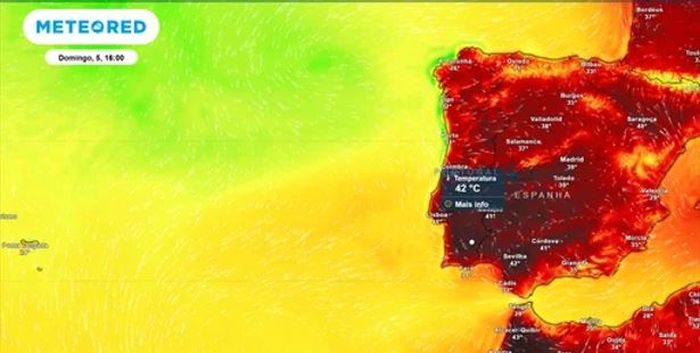 Hitzewelle in Portugal: Vier Distrikte unter roter Warnung