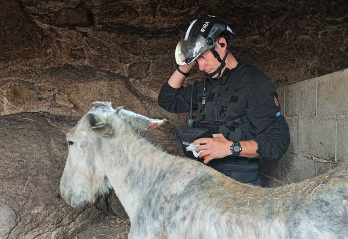 Tierrettung wird Teil des Katastrophenschutzes Tierrettung wird Teil des Katastrophenschutzes